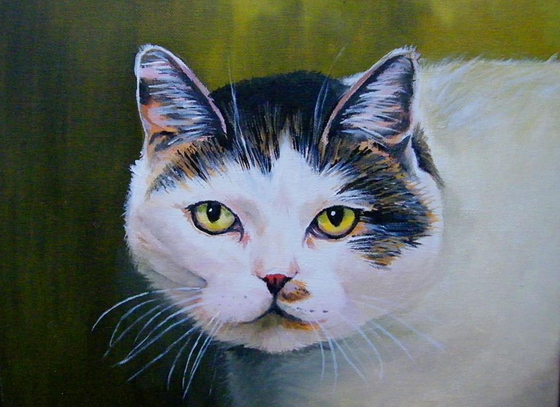 obraz olejny portret kota małgorzata jaskłowska