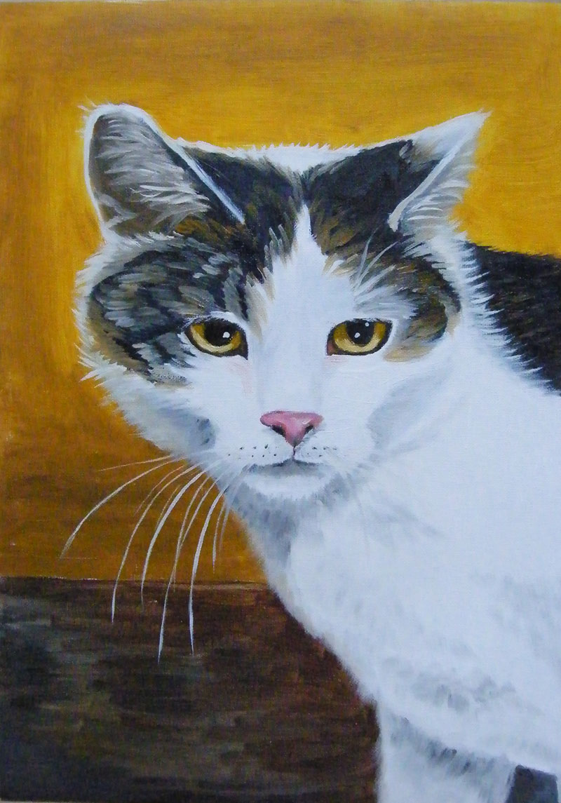 obraz olejny portret kota małgorzata jaskłowska