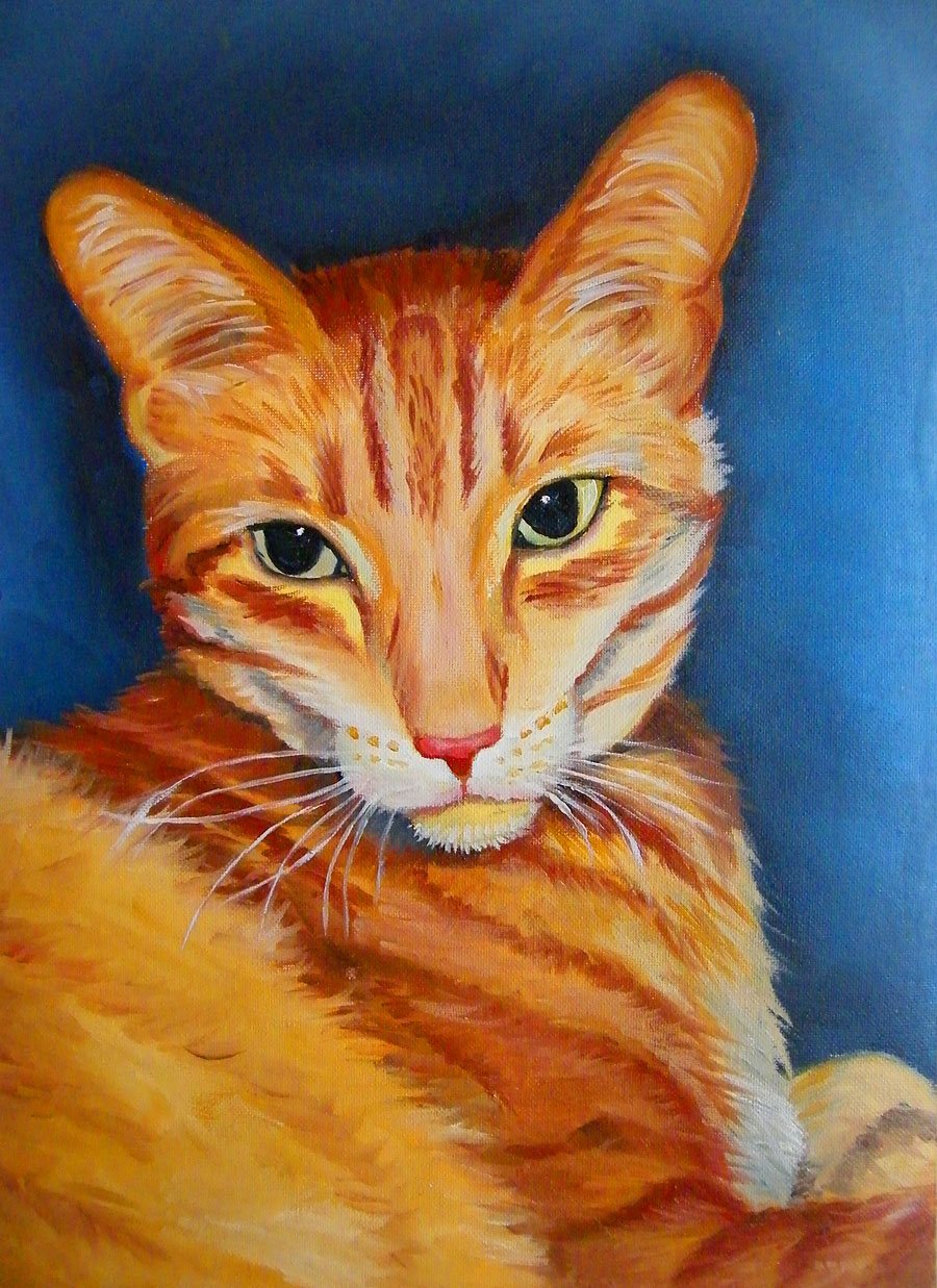 obraz olejny portret kota malgorzata jaskłowska