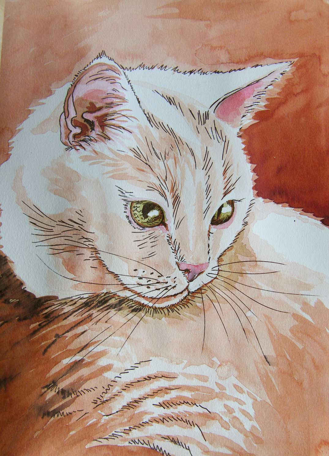 kot rysunek kolorowym tuszem małgorzata jaskłowska