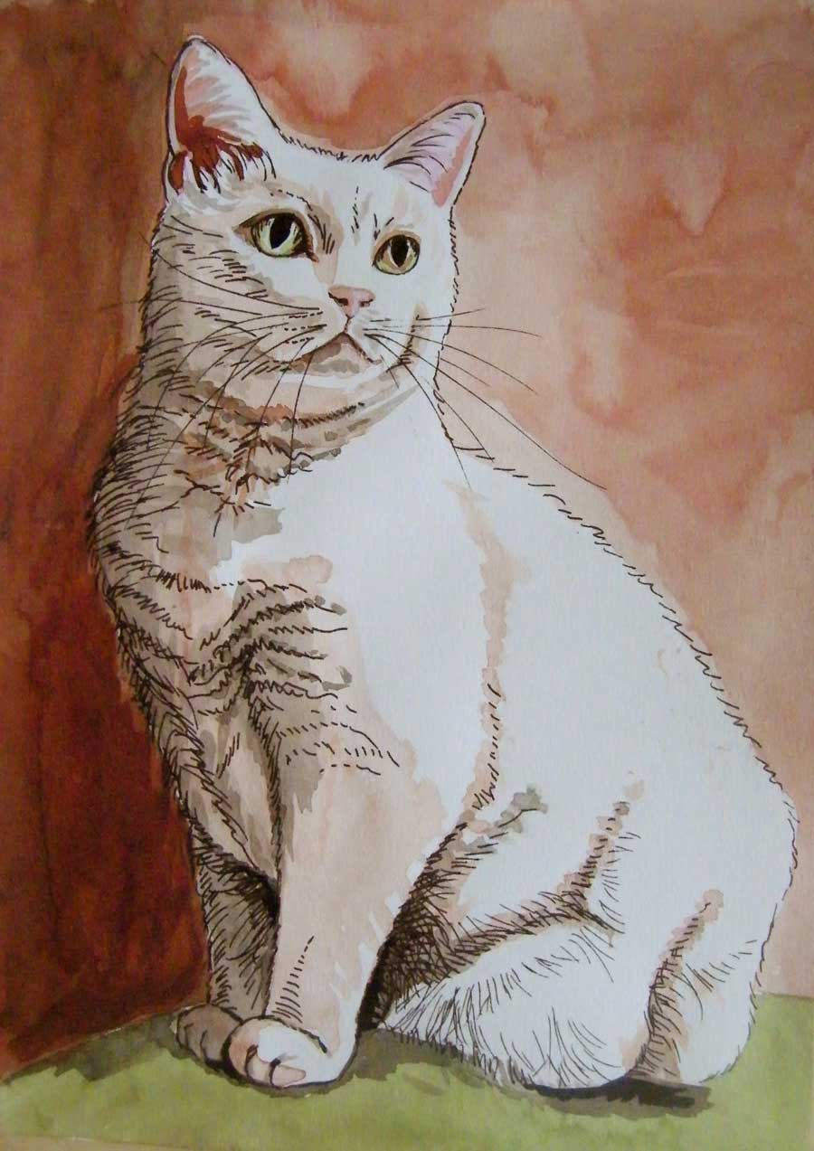 kot rysunek kolorowym tuszem małgorzata jaskłowska